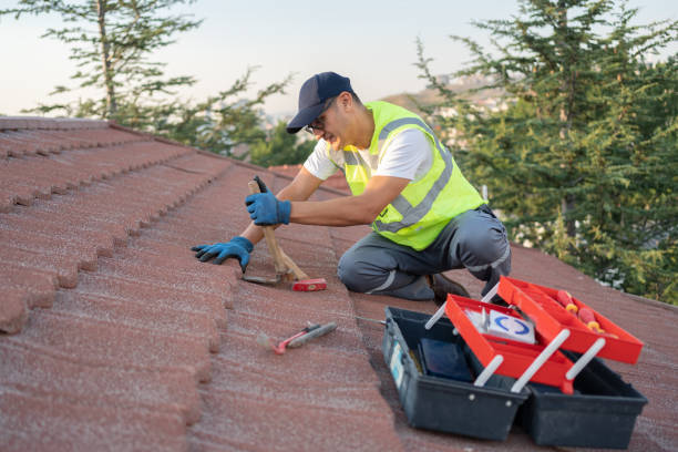 Best Roof Gutter Cleaning  in Alb, IA